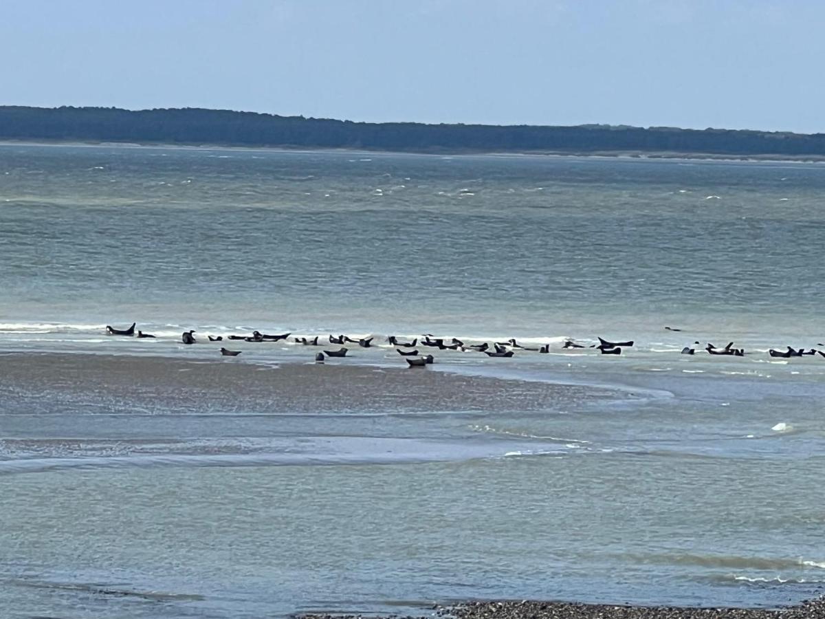 Plage A 50M Appartement Reves Etoiles Villa Les Bains De Mers Bagian luar foto