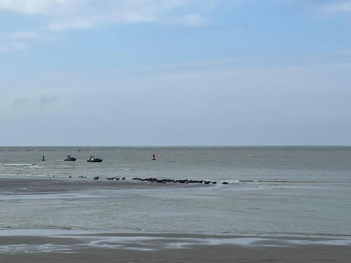Plage A 50M Appartement Reves Etoiles Villa Les Bains De Mers Bagian luar foto